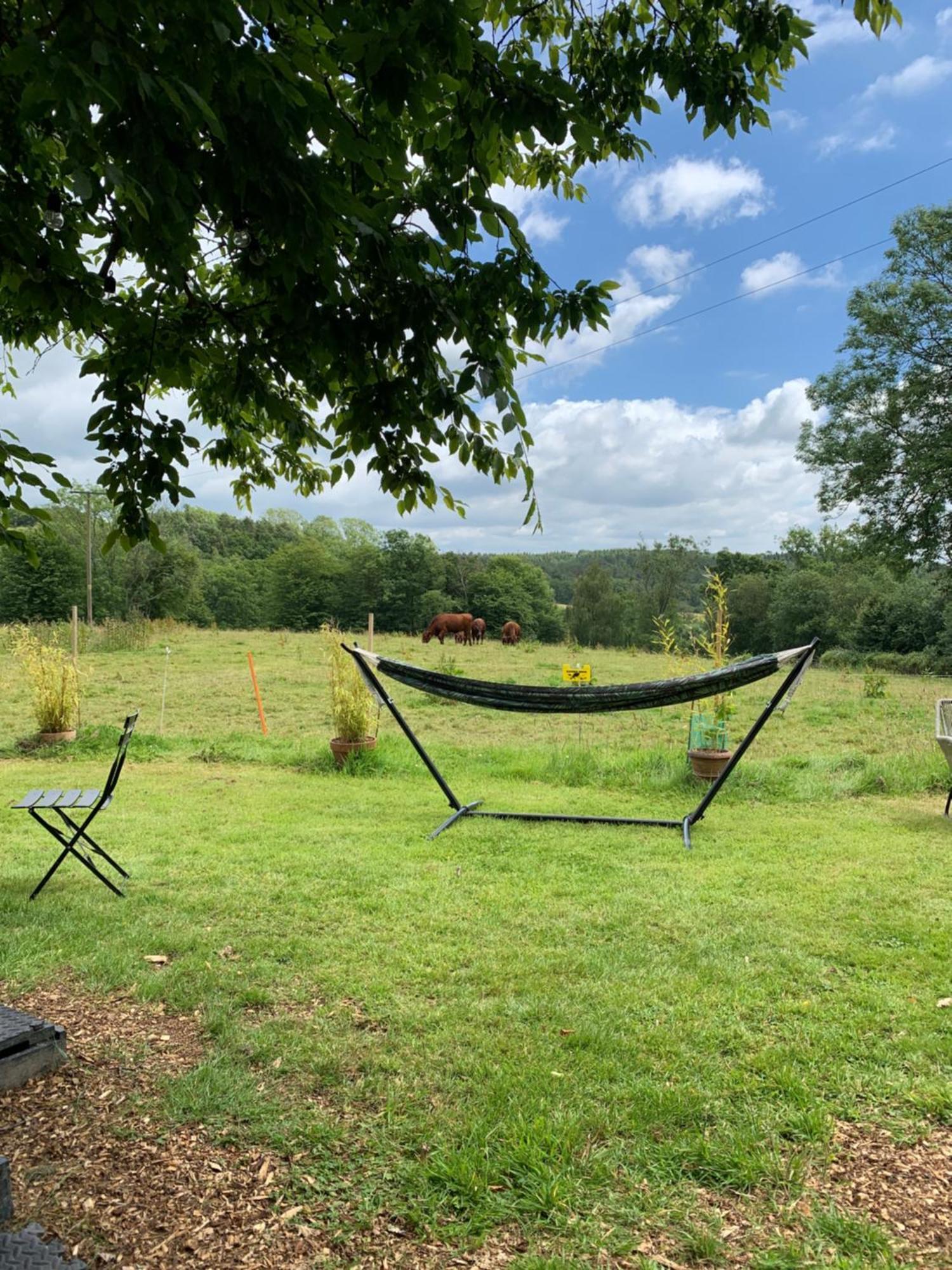 American School Bus Retreat With Hot Tub In Sussex Meadow Uckfield Exterior photo